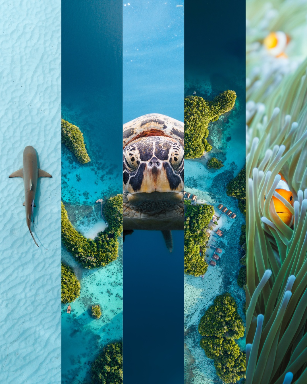 Raja Ampat Travel program - Sept 26
